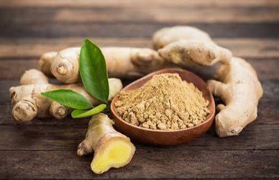 الزنجبيل (Ginger Extract)