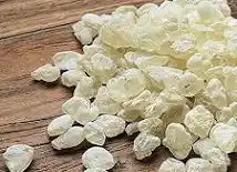 المسكة الحرة (Mastic Gum)
